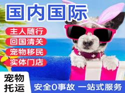 锦州湾空运地址国际宠物托运 【国